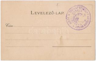 Pécs, Baranya vármegye címere; Athenaeum Rt. kőnyomdája, floral, litho. "1907 Vakokat Gyámolító...