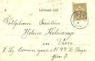 Gödöllő, Kastély udvara, floral, Art Nouveau, litho. Kiadja Nemesánszky Józsefné (fa)