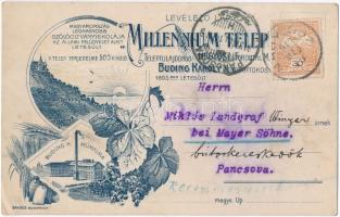 Nagyősz, Triebswetter, Tomnatic; Buding Károly földbirtokos Millenium Telep szőlőoltvány iskolája és műmalma, díszes Art Nouveau. Bakács Budapest / vine school and mill, Art Nouveau (EK)