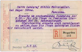 Nagyősz, Triebswetter, Tomnatic; Buding Károly földbirtokos "Millenium Telep" szőlőoltvány...