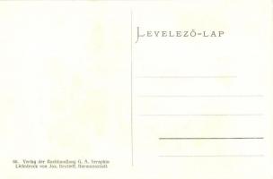 Nagyszeben, Hermannstadt, Sibiu; Johannis templom, Luther ház. Jos. Drotleff / Johanniskirche, Luthe...