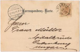 1892 (Vorläufer!) Mariazell, Gnaden-Mutter. No. 221. litho (fl)