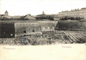 Temesvár, Timisoara; vár részlet / castle (fa)