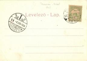 Temesvár, Timisoara; vár részlet / castle (fa)