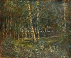 Halápy János (1893-1960): Erdő részlet. Olaj, vászon, jelzett, 60×73 cm