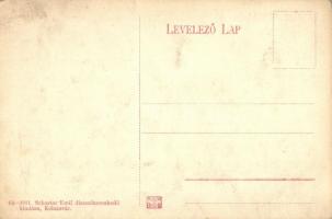 Kolozsvár, Cluj; Nagy Szamos folyó részlet a malommal. Schuster Emil kiadása / river with mill