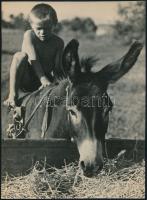 cca 1937 Seiden Gusztáv (1900-1992) felvételeiről készült 2 db későbbi nagyítás, a szerző hagyatékáb...