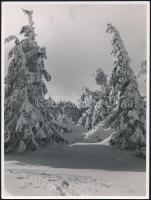 cca 1941 Matheisel József (?-?) rozsnyóbányai fotóművész 3 db vintage fotóművészeti alkotása, kettő darab feliratozott, 24x18 cm