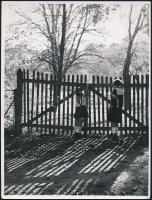 cca 1940 Korschelt Miklós (1900-1982) budapesti festő- és fotóművész pecséttel jelzett alkotásai, 3 ...