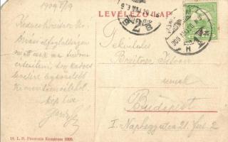 Komárom, Komárno; Emberszeretet közkórház. 16 L. H. Pannonia 1909 / hospital (EM)