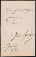 1863 Feliratozott (de nehezen olvasható), vizitkártya méretű fénykép, Helm prágai műterméből, Holbau...