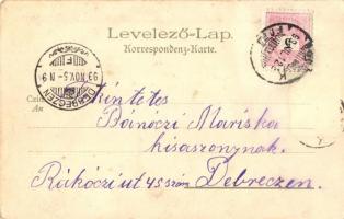 1899 Szliács, Sliac; látkép / general view, Kunstanstalt Kosmos litho (EK)