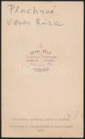 cca 1869 Plachyné Veres Róza (a felirat átvezetve egy vizitkártya tartó album lapjáról), Gévay Béla ...
