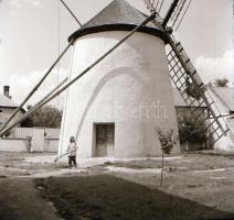 cca 1968 Szélmalomról készült 3 db szabadon felhasználható, vintage negatív + kontakt nézőképek, Dezső Pál (?-?) kecskeméti fotóművész hagyatékából, 6x6 cm