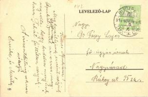 Budapest V. Erzsébet királyné szálloda és kávéház, Dolovcsák és Jánky üzlete, Díszmű áruház; Egyetem...