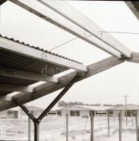 cca 1966 Állattartó telepek építése, 13 db vintage negatív Sinka Antal (?-?) hagyatékából, aki a vel...