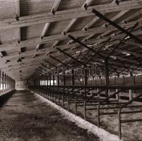 cca 1966 Állattartó telepek építése, 13 db vintage negatív Sinka Antal (?-?) hagyatékából, aki a vel...