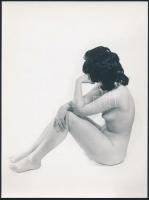 cca 1979 Aktfotók, 2 db vintage fotóművészeti alkotás, 24x18 cm