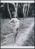 cca 1975 Erdőszélén korán reggel, szolidan erotikus felvételek, 3 db vintage negatívról készült mai nagyítások, 25x18 cm