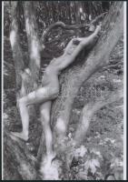 cca 1975 Erdőszélén korán reggel, szolidan erotikus felvételek, 3 db vintage negatívról készült mai ...