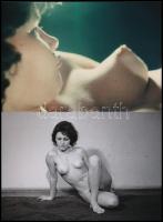 cca 1977 Vegyes mix szolidan erotikus fényképekből, 13 db vintage negatívról készült mai nagyítások,...