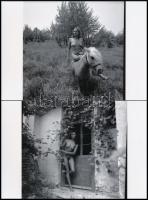 cca 1977 Vegyes mix szolidan erotikus fényképekből, 13 db vintage negatívról készült mai nagyítások,...