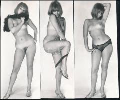 cca 1969 Privát vetkőzőszám, 13 db vintage fotó, szolidan erotikus felvételek, 17,5x6 cm és 17x7,5 c...