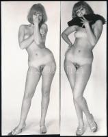 cca 1969 Privát vetkőzőszám, 13 db vintage fotó, szolidan erotikus felvételek, 17,5x6 cm és 17x7,5 c...