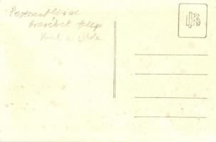 1925 Budapest XIV. Pestszentlőrinc, Pusztaszentlőrinc; Erzsébettelep, iskola, országzászló, photo