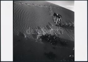 cca 1976 Napsütéses fényképek, 3 db szolidan erotikus fénykép, vintage negatívokról készült mai nagy...