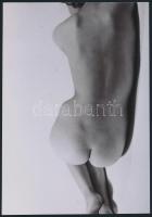 cca 1973 Állva, ülve, fekve, 3 db szolidan erotikus fénykép, vintage negatívokról készült mai nagyít...