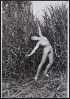 cca 1974 Hajlékonyság, 3 db szolidan erotikus fénykép, vintage negatívokról készült mai nagyítások, 25x18 cm / 3 erotic photos, 25x18 cm