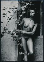 cca 1979 Vad szőlőnek szelíd gazdasszonya, jelzés nélküli vintage fotóművészeti alkotás, 27x18,5 cm / erotic photo, 27x18,5 cm