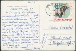1966 Székely János (1929-1992) költő üdvözlő sorai egy képeslapon Zelk Zoltánné Sinka Erzsébet irodalomtörténésznek.
