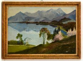 MCP jelzéssel: Hegyvidéki táj. Olaj, farost, keretben, 30×40 cm