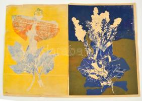 Ország jelzéssel: Növények. 2 db kollázs egy papíron, 48×33 (2×) cm