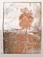 Varga Nándor Lajos: A fametszet. Könyv a fametszet mesterségéről és történetéről, közel 200 képpel (...