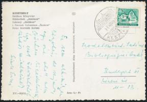 1962 Zelk Zoltánné Sinka Erzsébet irodalomtörtész üdvözlő sorai egy képeslapon az MTA Irodalomtörténeti Intézet Bibliográfiai Osztályának.
