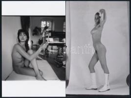 cca 1974 Szépek és büszkék, szolidan erotikus fényképek, 21 db mai nagyítás korabeli negatívokról, 1...