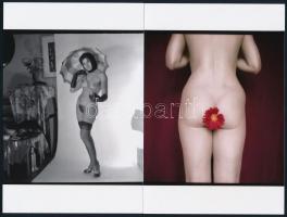 cca 1973 Mindent megmutatnak, szolidan erotikus fényképek, 33 db mai nagyítás korabeli negatívokról,...