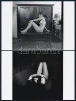 cca 1973 Mindent megmutatnak, szolidan erotikus fényképek, 33 db mai nagyítás korabeli negatívokról,...