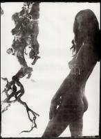 cca 1980 Szolidan erotikus fényképek, 4 db vintage fotó, 40x30 cm és 40x22 cm között / 4 erotic phot...