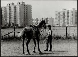 cca 1970 Kalocsai Rudolf (?-?) budapesti fotóművész 2 db feliratozott vintage fotója, 37x30 cm és 30x40 cm