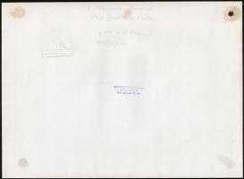 cca 1970 Kalocsai Rudolf (?-?) budapesti fotóművész 2 db feliratozott vintage fotója, 37x30 cm és 30...