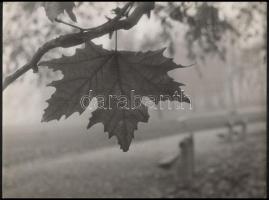 cca 1976 Darkó István (?-?) budapesti fotóművész 2 db pecséttel jelzett vintage fotója, 40x30 cm