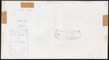 cca 1963 Krisch Béla (?-?) kecskeméti fotóművész 2 db pecséttel jelzett vintage fotója, 38,5x18,5 cm...