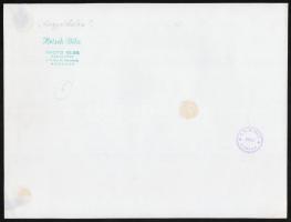 cca 1963 Krisch Béla (?-?) kecskeméti fotóművész 2 db pecséttel jelzett vintage fotója, 39x24 cm és ...