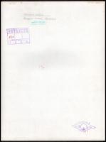 cca 1963 Medgyesi László (?-?) kecskeméti fotóművész 2 db feliratozott vintage fotója, 39x29 cm