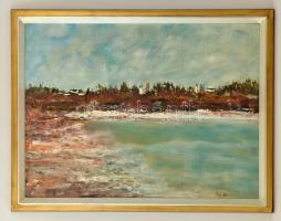 Nyáry Éva (1946-): Tó part. Olaj, farost, jelzett, keretben, 60×80 cm