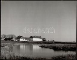 cca 1960 Medgyesi László (?-?) kecskeméti fotóművész 2 db feliratozott vintage fotója, sarkán kisebb...